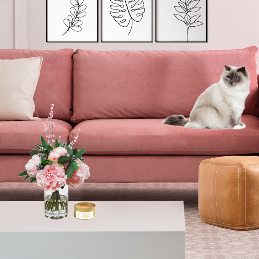 #daily #challenge #sweetpink #living #sofa #decor  #challenge  #decormattersdesign  #living  #daily  #hello  #dailychallenge  #imnew  #livingroom  #bedroom  #classic 